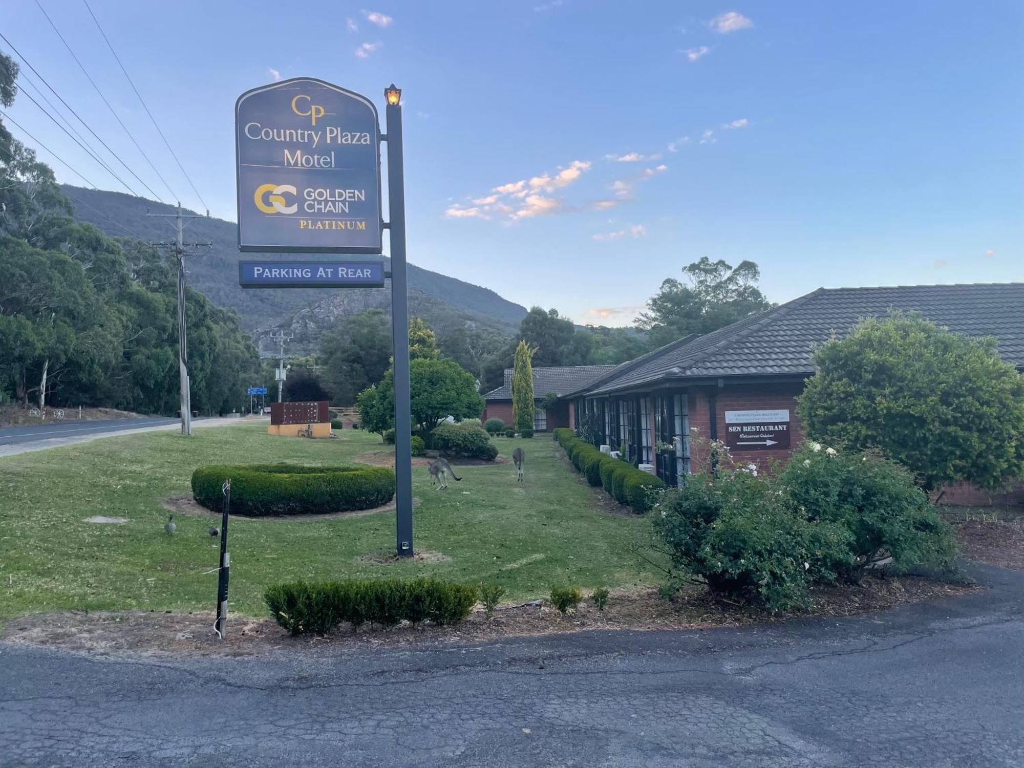 Golden Chain Country Plaza Motel Halls Gap Exterior photo